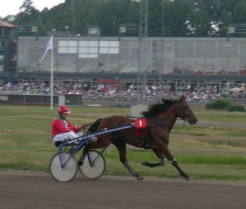 Jacob värmer Rysningen på Halmstadstravet